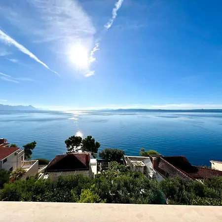 Albatros Selca (Brac)