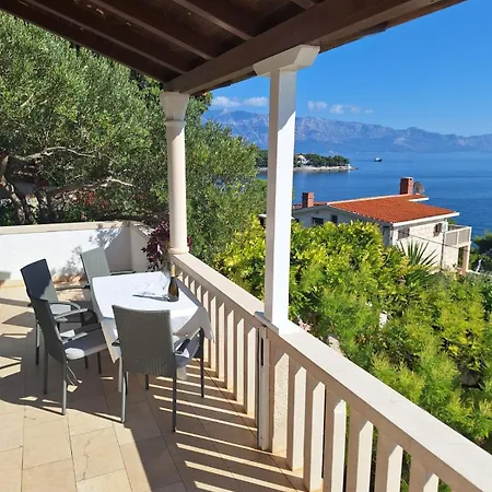 Albatros Appartement *