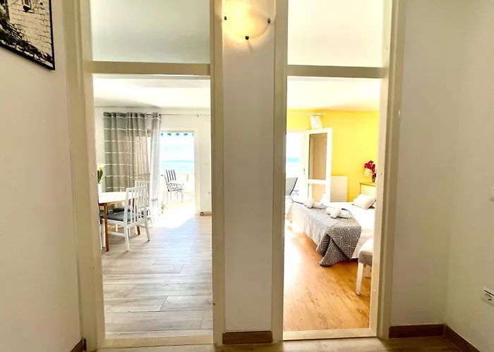 Albatros Selca (Brac)