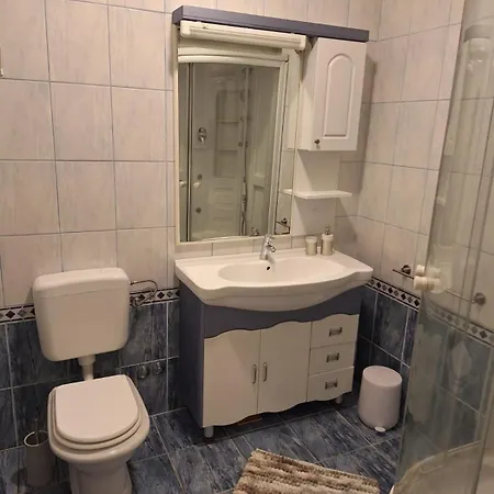 Apartment Albatros *